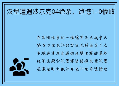 汉堡遭遇沙尔克04绝杀，遗憾1-0惨败